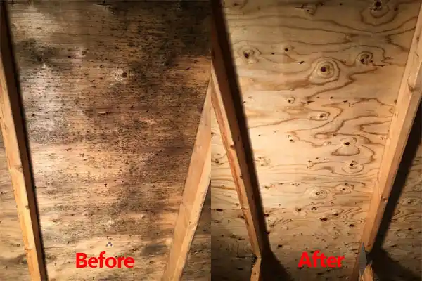 water damage restoration service Streetsboro